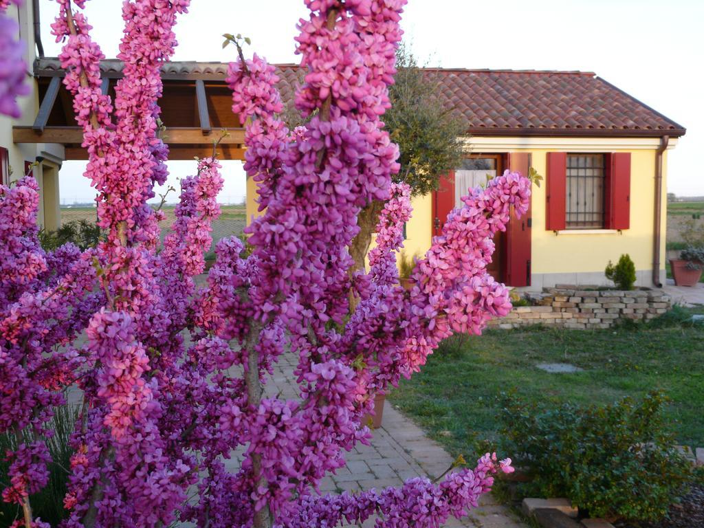B&B La Garzetta Adria Exterior photo